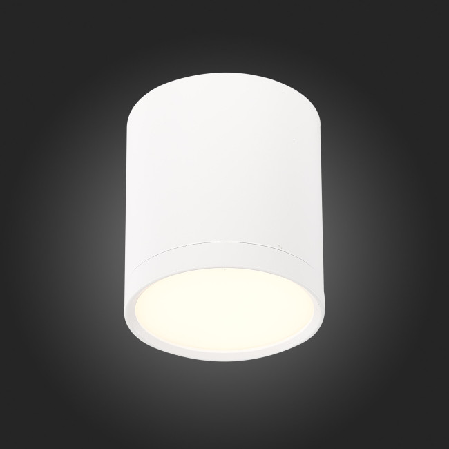 Потолочный светильник ST Luce Rene ST113.532.05 Потолочный светильник ST Luce Rene ST113.532.05