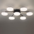 Потолочная люстра Lumion Didana 8236/7CL Потолочная люстра Lumion Didana 8236/7CL