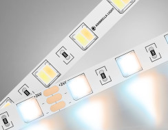 Светодиодная лента Ambrella Light LED Strip 24В 5050 14Вт/м 3000-6500K 5м IP20 GS4101 Светодиодная лента Ambrella Light LED Strip 24В 5050 14Вт/м 3000-6500K 5м IP20 GS4101