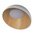 Потолочный светильник Loft IT Egg 10197/500 White Потолочный светильник Loft IT Egg 10197/500 White