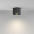 Потолочный светильник Maytoni Technical Calipso C106CL-GX53-B Потолочный светильник Maytoni Technical Calipso C106CL-GX53-B