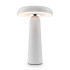 Настольная аккумуляторная лампа Freya Mushroom FR6109TL-L4W Настольная аккумуляторная лампа Freya Mushroom FR6109TL-L4W