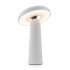Настольная аккумуляторная лампа Freya Mushroom FR6109TL-L4W Настольная аккумуляторная лампа Freya Mushroom FR6109TL-L4W