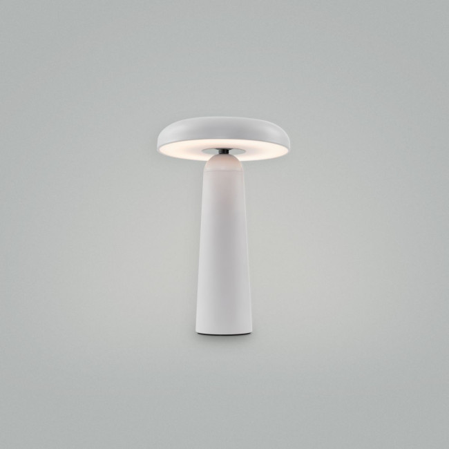 Настольная аккумуляторная лампа Freya Mushroom FR6109TL-L4W Настольная аккумуляторная лампа Freya Mushroom FR6109TL-L4W