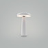 Настольная аккумуляторная лампа Freya Mushroom FR6109TL-L4W Настольная аккумуляторная лампа Freya Mushroom FR6109TL-L4W