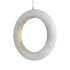 Подвесной светильник Loft IT Soho 10410/E Подвесной светильник Loft IT Soho 10410/E