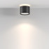 Потолочный светильник Maytoni Technical Pauline C120CL-GX53-B
