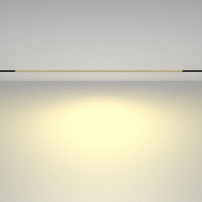 Трековый магнитный светильник Maytoni Basis TR030-2-30W2.7K-B