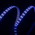 Светодиодная лента DesignLed DSG5120-24-RGB-33 012710 Светодиодная лента DesignLed DSG5120-24-RGB-33 012710