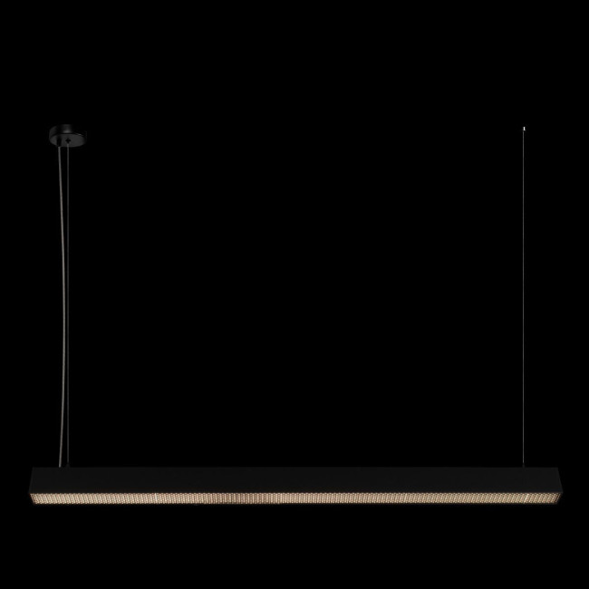 Подвесной светильник Loft IT Vim 10318/C Black