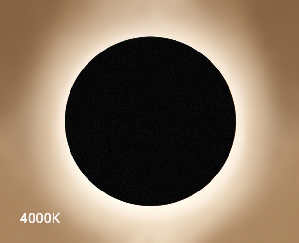 Настенный светильник Italline IT02-016 black Настенный светильник Italline IT02-016 black