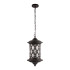 Уличный подвесной светильник Loft IT Bergamo 100018P Уличный подвесной светильник Loft IT Bergamo 100018P