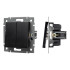 Механизм выключателя двухклавишный непроходной Arlight SWT-MK02-PL-BK-V (250V, 10A) 049888 Механизм выключателя двухклавишный непроходной Arlight SWT-MK02-PL-BK-V (250V, 10A) 049888