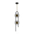 Подвесной светильник Freya Drip FR6173PL-L18B Подвесной светильник Freya Drip FR6173PL-L18B