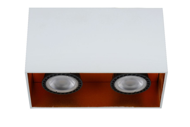 Накладной светильник Lucide Bodibis 22966/02/31 Накладной светильник Lucide Bodibis 22966/02/31