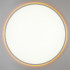 Потолочный светильник Citilux Norma LED RGB CL749600 Потолочный светильник Citilux Norma LED RGB CL749600