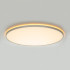 Потолочный светильник Citilux Norma LED RGB CL749600 Потолочный светильник Citilux Norma LED RGB CL749600