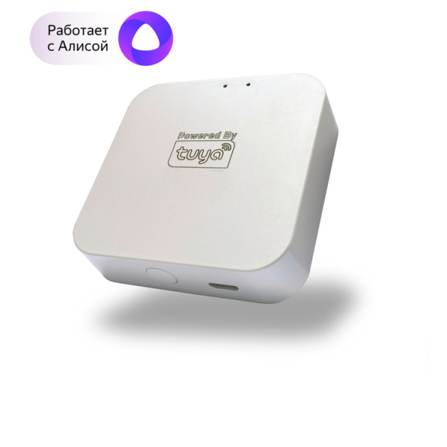 WIFI конвертер Denkirs SMART DK7400-WF WIFI конвертер Denkirs SMART DK7400-WF