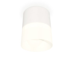 Потолочный светильник Ambrella Light Techno Spot XS8110002 (C8110, N8402)