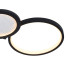 Потолочный светильник F-Promo Neumel 4700-4C Потолочный светильник F-Promo Neumel 4700-4C