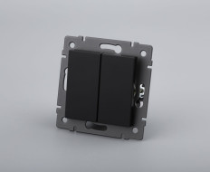 Механизм выключателя двухклавишный проходной Arlight SWT-MKP2-PL-BK-V (250V, 10A) 049893
