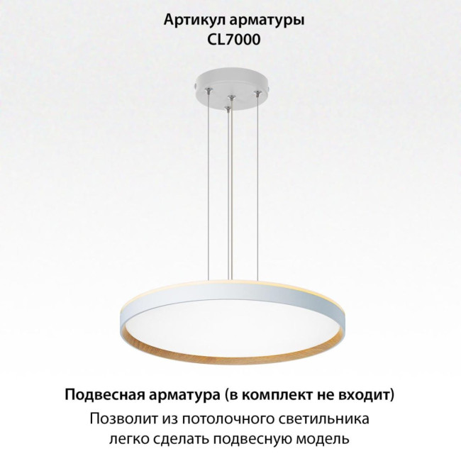 Накладной светильник Citilux Etalon CL750500R