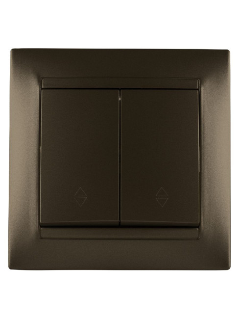 Выключатель двухклавишный на 2 направления Лама TDM Electric SQ1815-0707