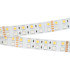 Светодиодная лента Arlight RT-B144-19mm 24V RGBW-Day (32 W/m, IP20, 5m) 018144(3) Светодиодная лента Arlight RT-B144-19mm 24V RGBW-Day (32 W/m, IP20, 5m) 018144(3)