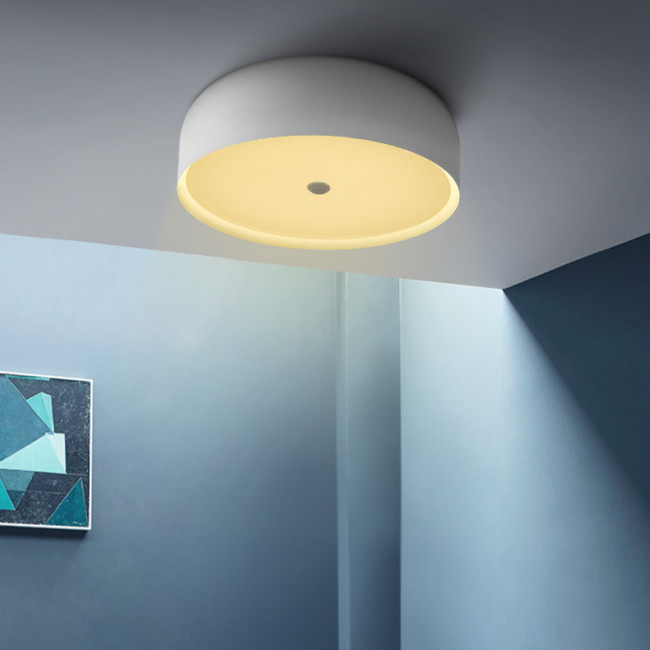 Потолочный светильник ImperiumLoft Cylinder 101495-26