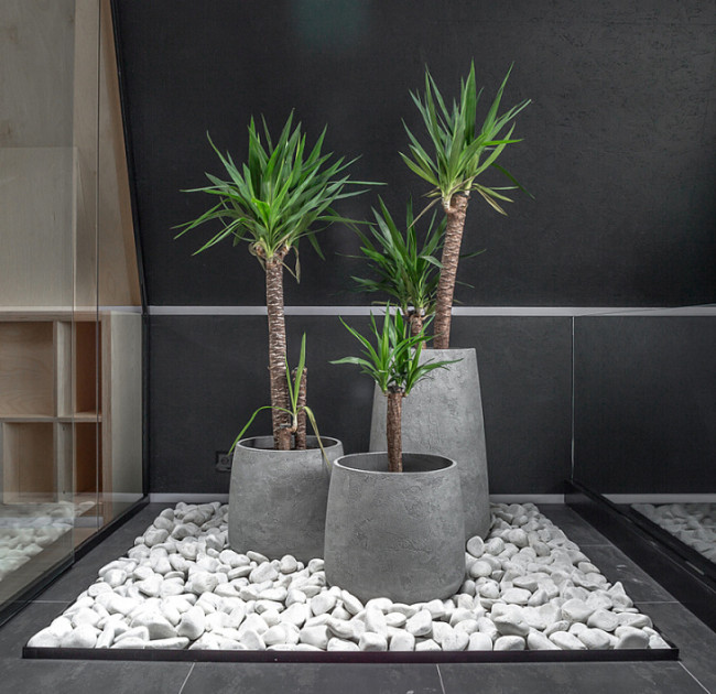 Кашпо CONE NERO Кашпо CONE NERO