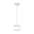 Подвесной светильник Feron Opal HL4608 51686