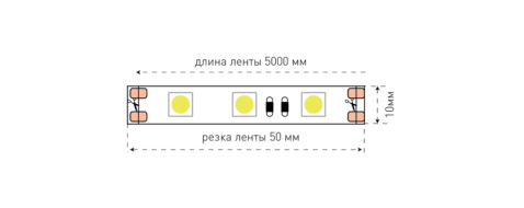 Светодиодная лента SWG SWG560-12-14.4-B-M 009473