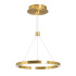Подвесной светильник Arlight SP-CONGO-CAN-1-R600-36W Warm3000 (GD, 120 deg, 230V) 046244 Подвесной светильник Arlight SP-CONGO-CAN-1-R600-36W Warm3000 (GD, 120 deg, 230V) 046244