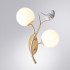 Бра Arte Lamp Camomilla A9712AP-2SG Бра Arte Lamp Camomilla A9712AP-2SG