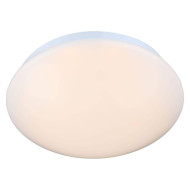 Настенно-потолочный светильник Feron AL3021 41774