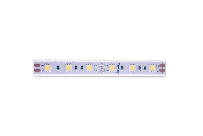 Светодиодная лента DesignLed DSG560-12-W-65 000518 Светодиодная лента DesignLed DSG560-12-W-65 000518