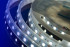 Светодиодная лента DesignLed DSG560-12-W-65 000518 Светодиодная лента DesignLed DSG560-12-W-65 000518