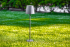 Ландшафтный светильник DesignLed FL-1793-650-7-GR-WW 007616 Ландшафтный светильник DesignLed FL-1793-650-7-GR-WW 007616