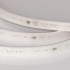 Светодиодная лента герметичная Arlight DMX-PS-B70-14mm 24V RGBW-Warm-PX7 (17 W/m, IP67, 5060, 5m) (CRI>90) 056722 Светодиодная лента герметичная Arlight DMX-PS-B70-14mm 24V RGBW-Warm-PX7 (17 W/m, IP67, 5060, 5m) (CRI>90) 056722