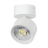 Накладной светильник Alta Pro Lightstar A5546SO Накладной светильник Alta Pro Lightstar A5546SO