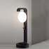 Ландшафтный светильник Odeon Light Nature Luma 5434/1F Ландшафтный светильник Odeon Light Nature Luma 5434/1F