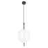 Подвесной светильник Loft IT Venice 10223/D White Подвесной светильник Loft IT Venice 10223/D White