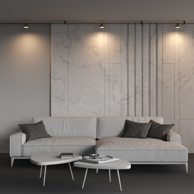 Трековый магнитный светильник Maytoni Zon TR204-1-12W3K-BBS Трековый магнитный светильник Maytoni Zon TR204-1-12W3K-BBS