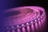Светодиодная лента DesignLed DSG560-12-RGB-65 001489 Светодиодная лента DesignLed DSG560-12-RGB-65 001489