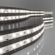 Светодиодная лента Elektrostandard 24V 4,8W 60Led 2835 IP65 дневной белый, 5м 4690389167836 a052957 Светодиодная лента Elektrostandard 24V 4,8W 60Led 2835 IP65 дневной белый, 5м 4690389167836 a052957