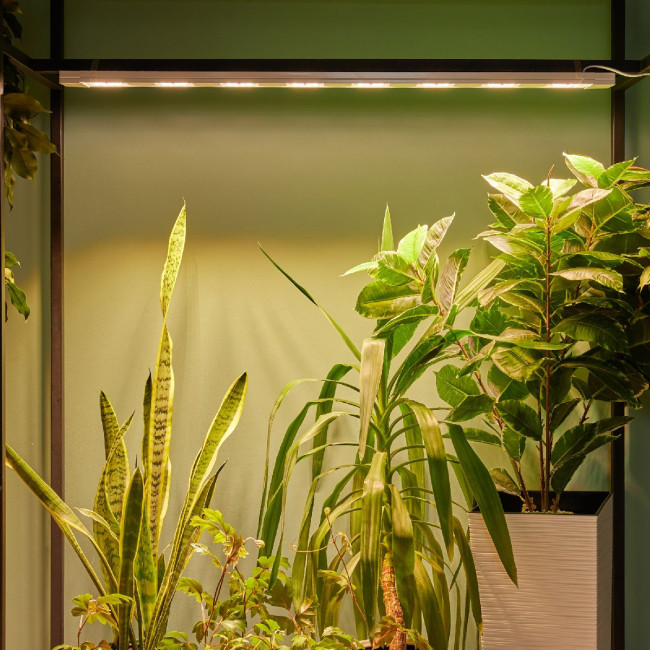 Светильник для растений Uniel ULT-P71B-100W/SPFB/L105 WHITE WINTERGARDEN UL-00011265