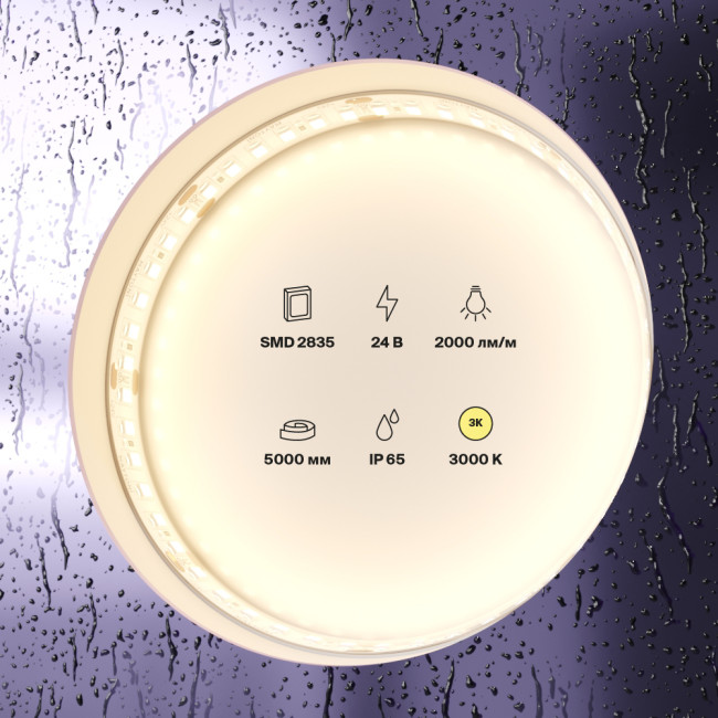 Подвесная люстра Cloyd Marry 10157