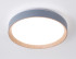 Потолочный светильник Ambrella Light Orbital Design FZ1320 Потолочный светильник Ambrella Light Orbital Design FZ1320