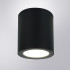 Уличный потолочный светильник Arte Lamp Torcular A1313PF-1BK Уличный потолочный светильник Arte Lamp Torcular A1313PF-1BK