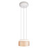Подвесной светильник LOFT IT Totem 10466P Amber matte Подвесной светильник LOFT IT Totem 10466P Amber matte